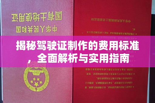 沂水揭秘驾驶证制作的费用标准，全面解析与实用指南
